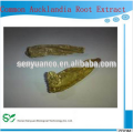 Melhor venda Common Aucklandia Root Extract